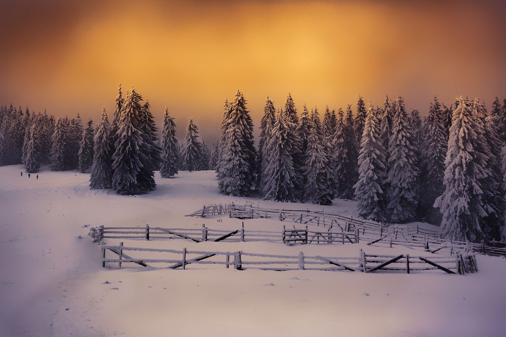 Sunset over Rodnei Mountains, Romania