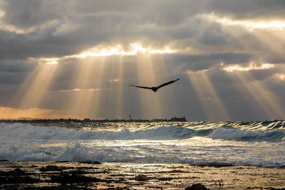 Гавана.Океан