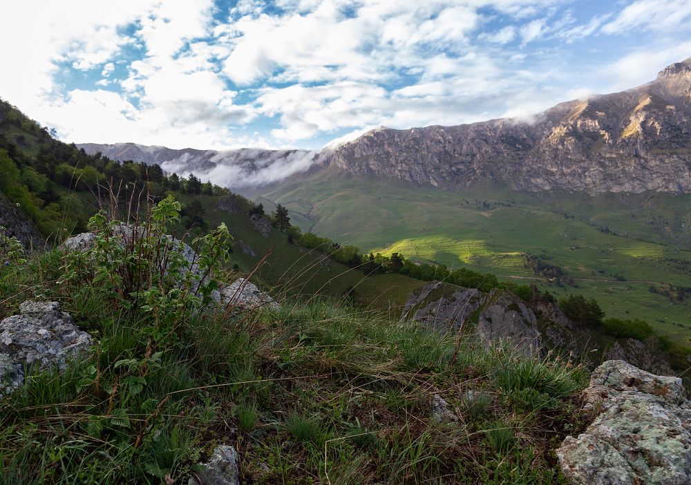 после дождя