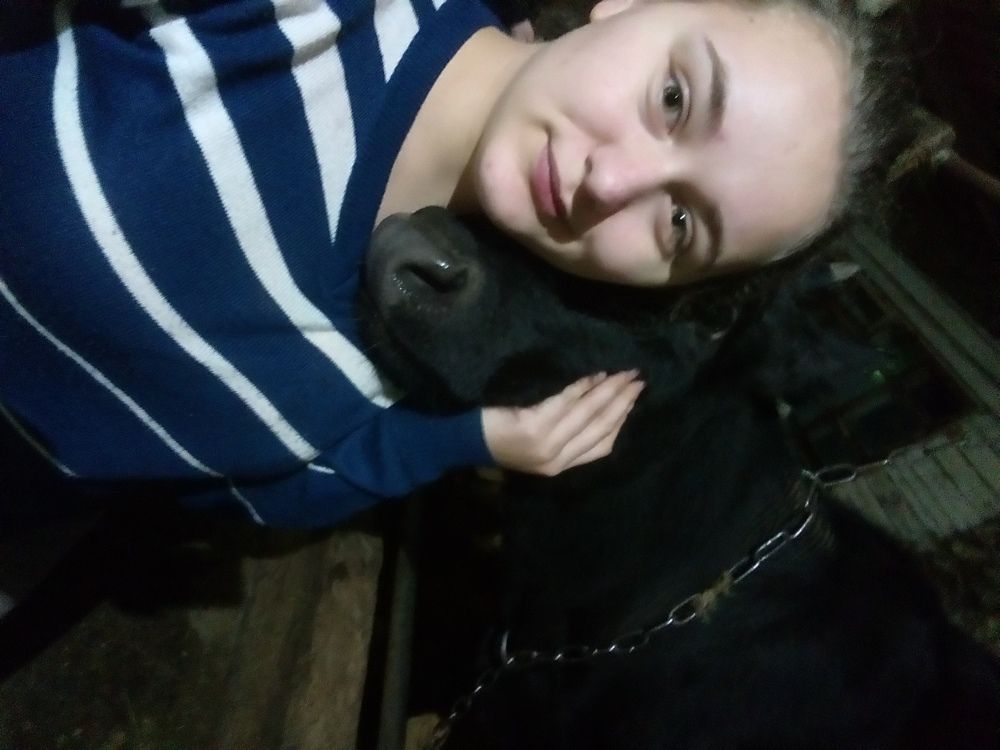 Photo #2993120