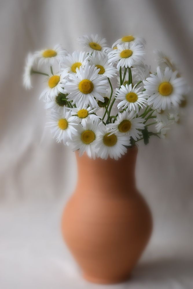 Ромашки в крынке