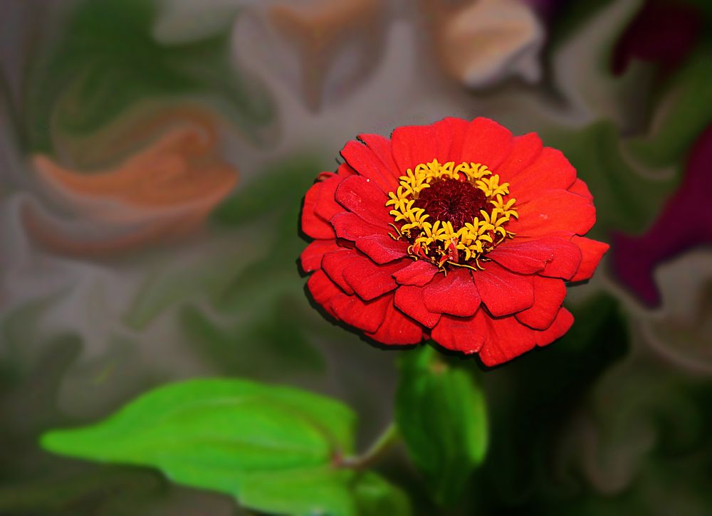 Flower