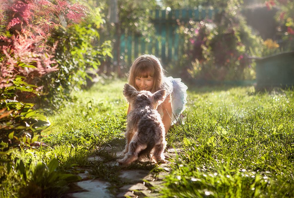 Встреча на Эльбе