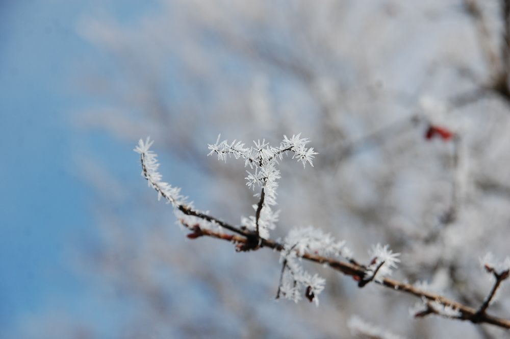 Photograph by Stepan Makhnickij