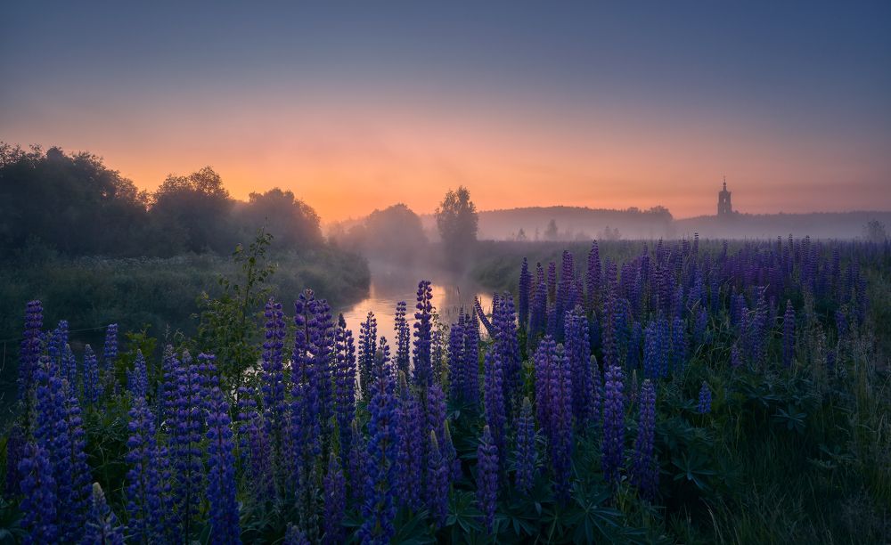 Ночь коротка ...