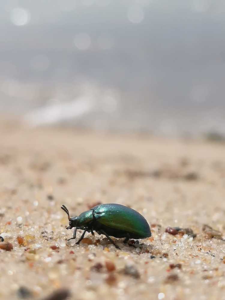 Бегущий по делам