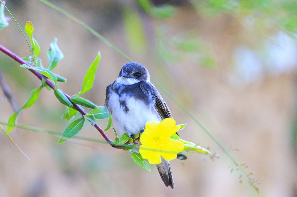 Photograph by Костянтин Пазюк