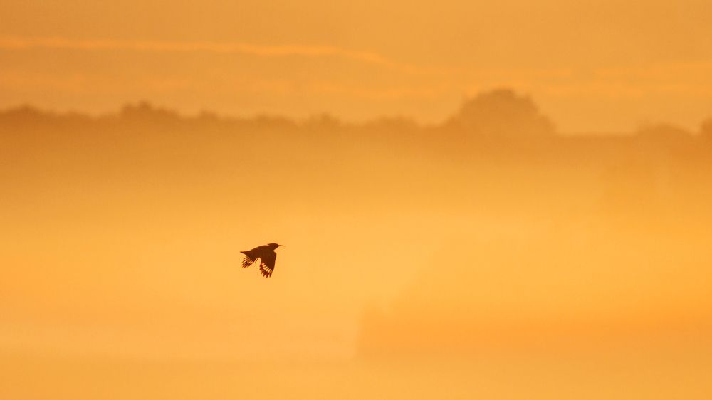 Photograph by Костянтин Пазюк