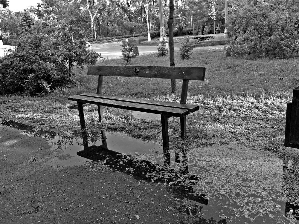 In a Puddle Distance