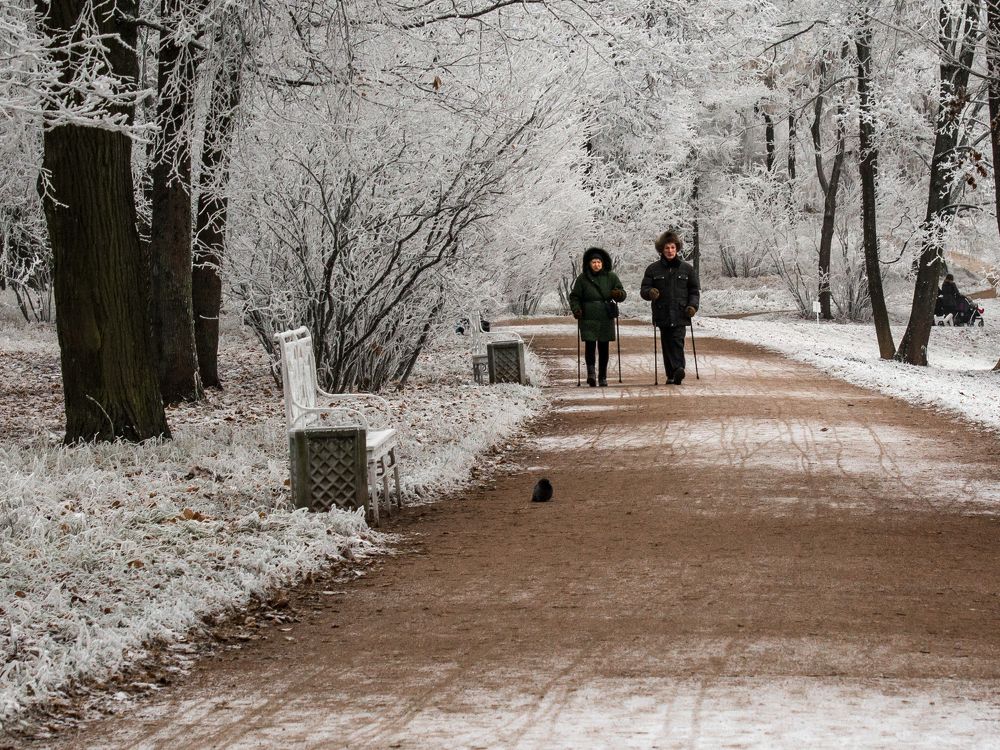 Photograph by Шутов Владимир