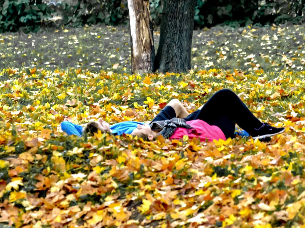 Photograph by Шутов Владимир