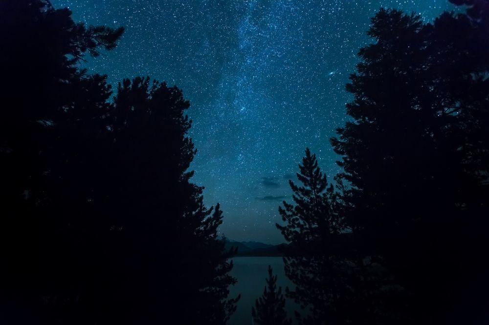 Сквозь тернии к звездам