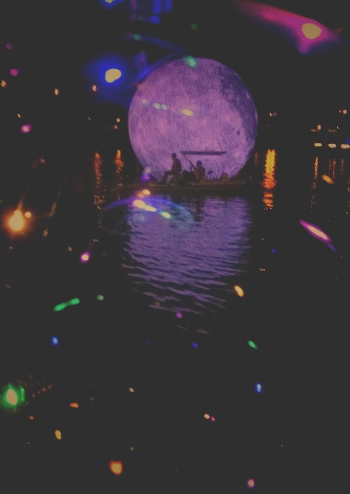 Photo #2993917