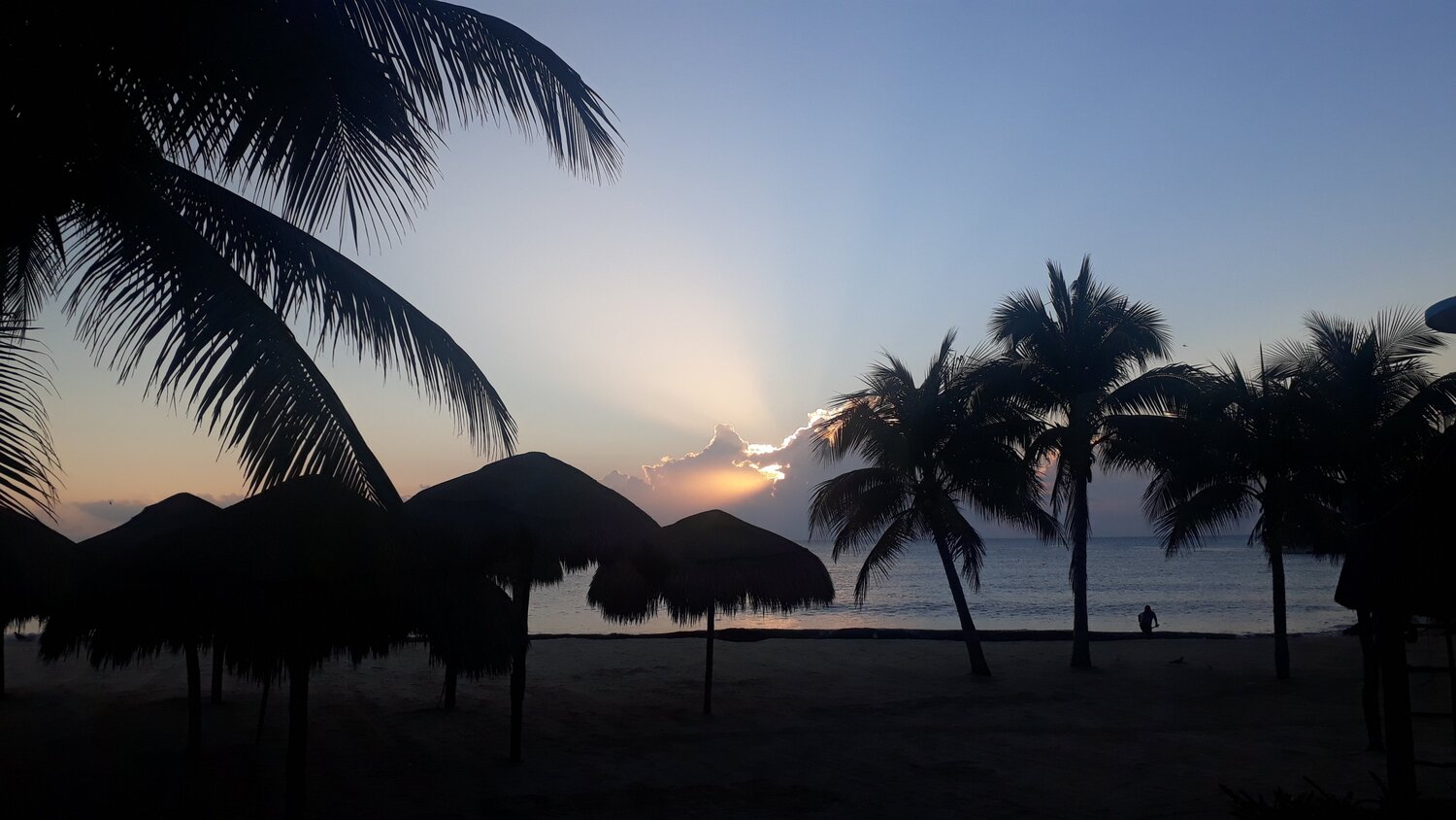 Shadows in the Morning