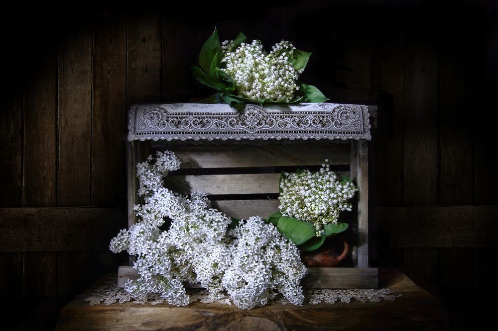 Этюд в белых тонах