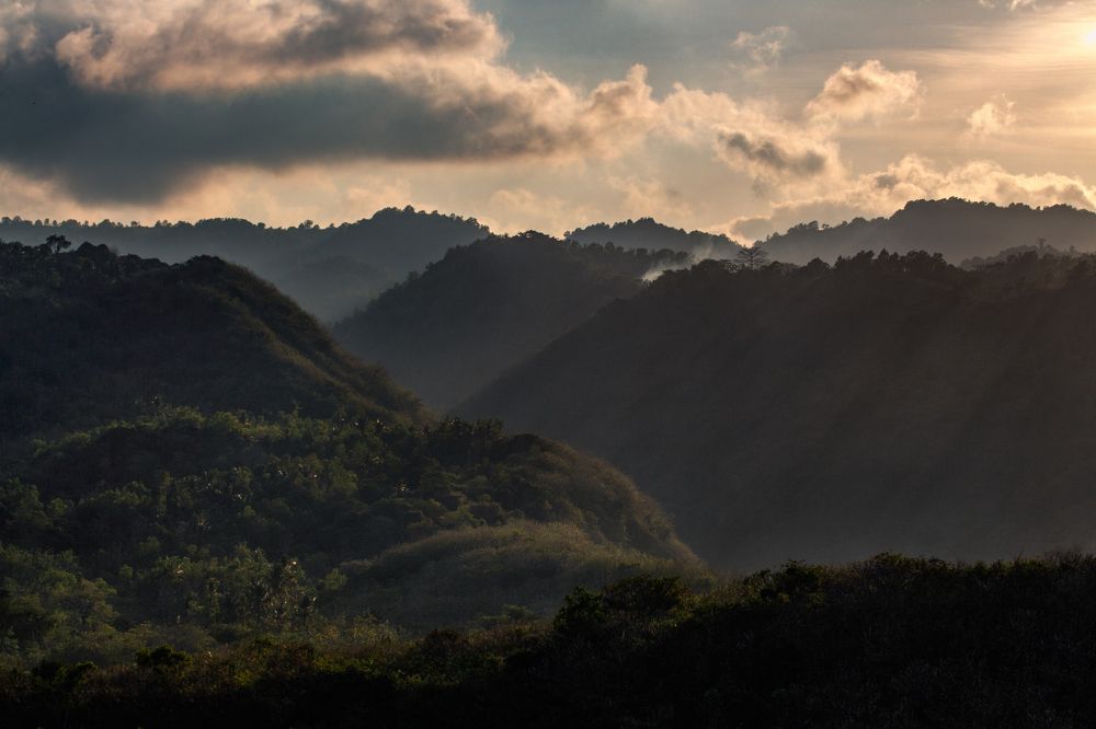 Photograph by Ali Alqassab