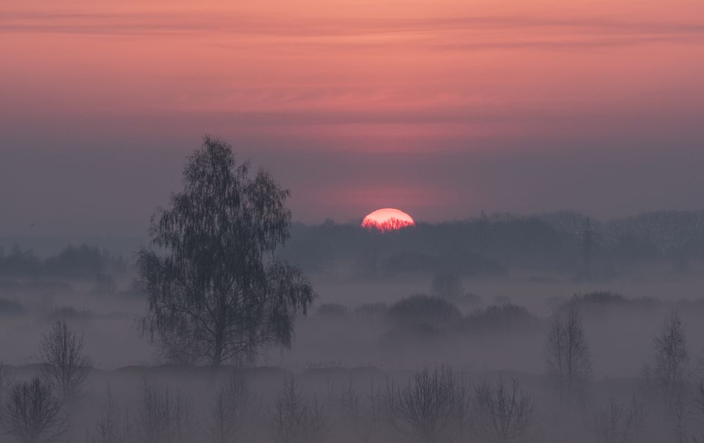 Весенние туманы...
