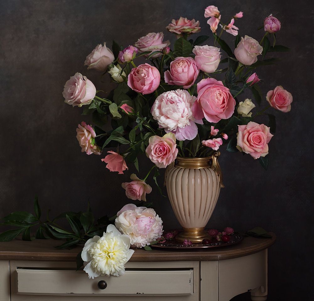 Фотография автора Алина Ланкина