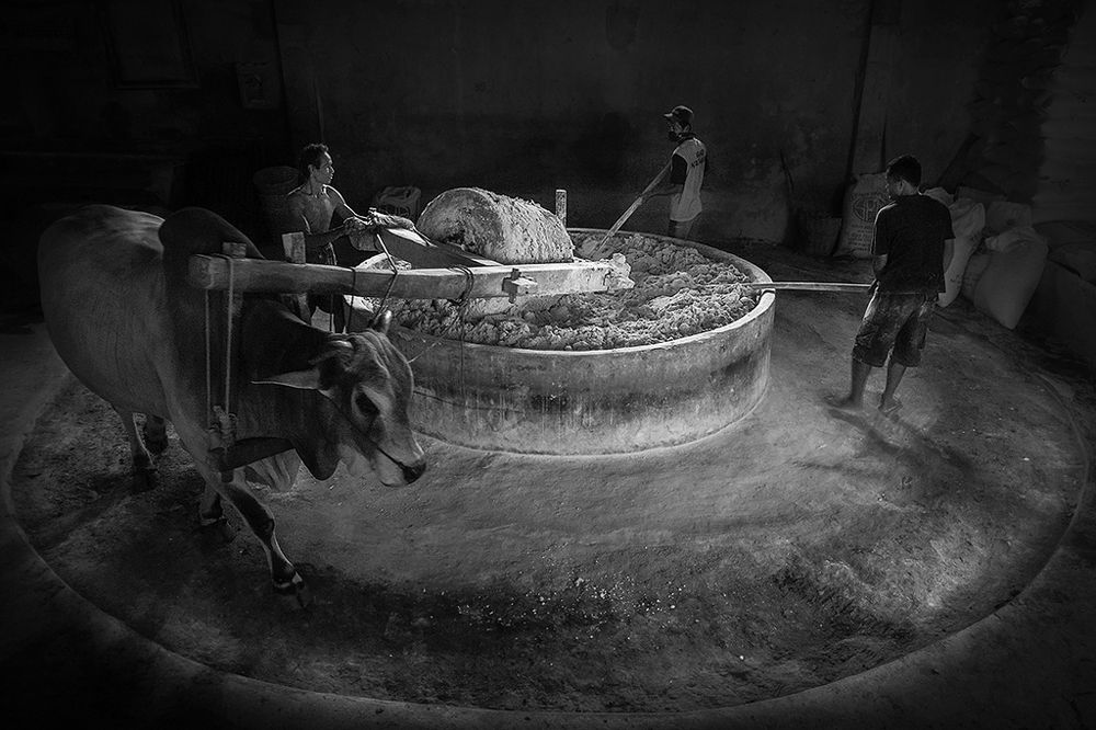 manufacturers of noodles