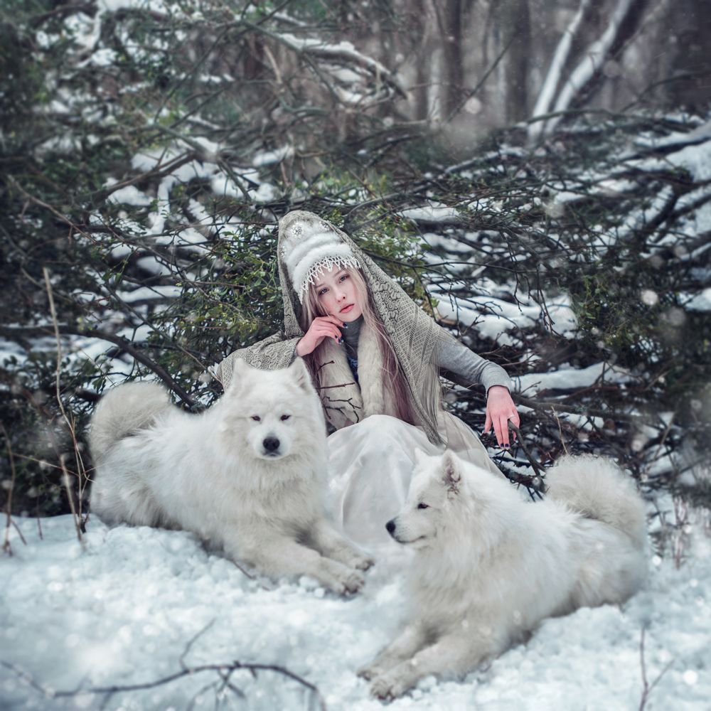 Северная царевна