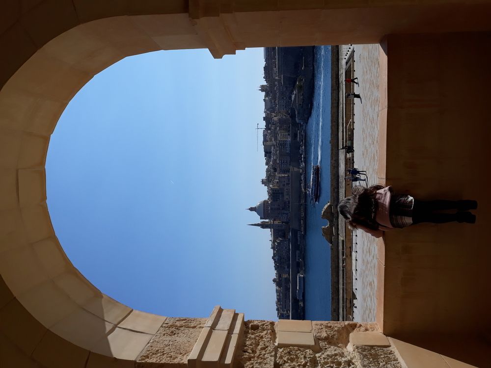 The window
