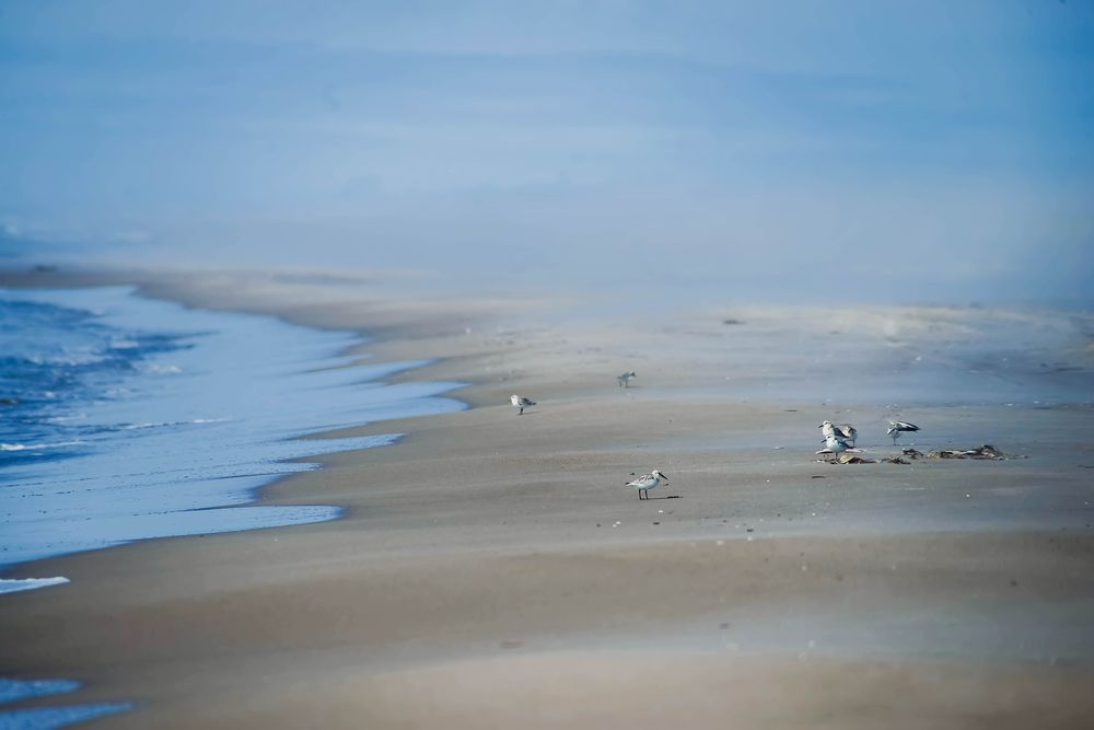 туман и солнце