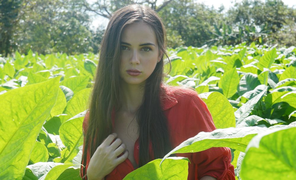 ELLA EN PLANTIO TABACALERO