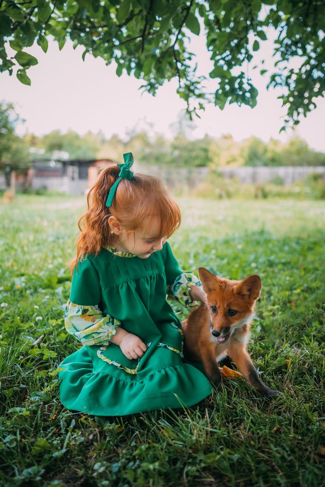 Фотография автора Дарья Шевченко