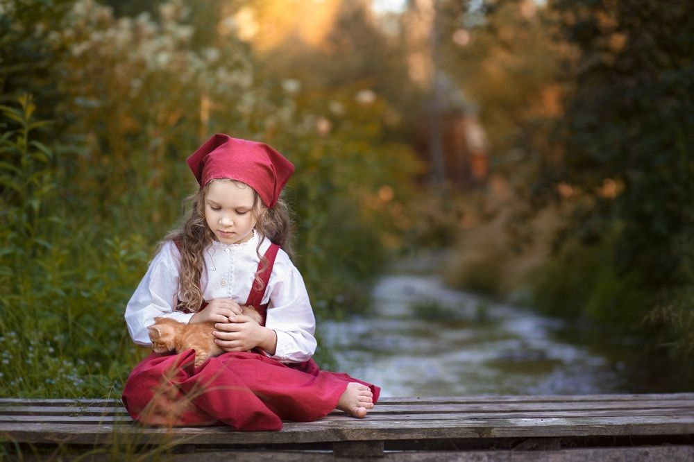 Любопытный рыжик