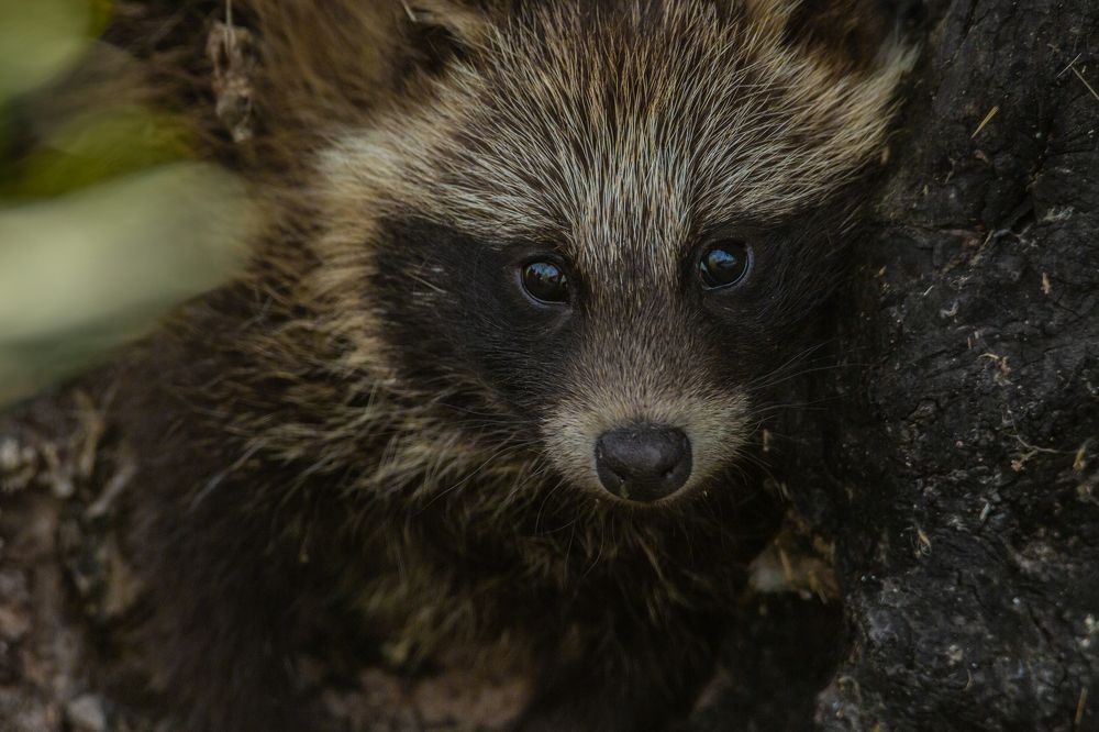 Photograph by Алексей Кашин