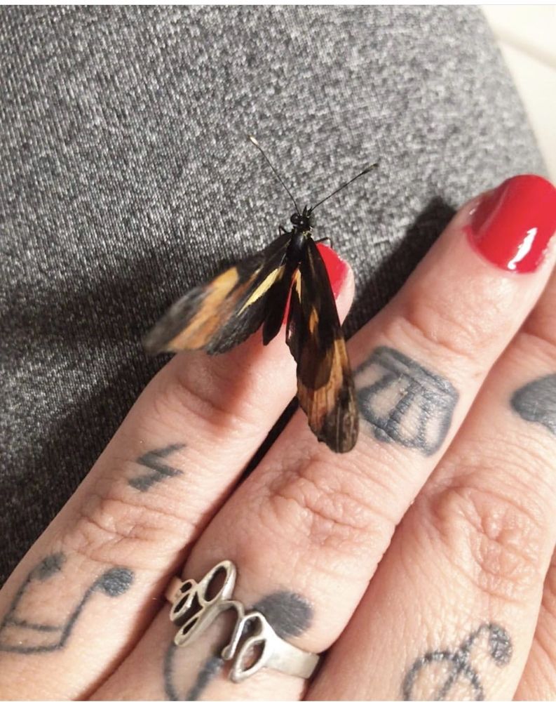 Butterfly and me