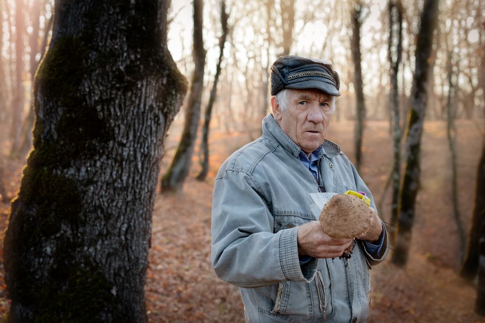 Photograph by Александра Рубан