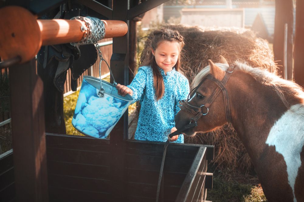 Photograph by Ирина