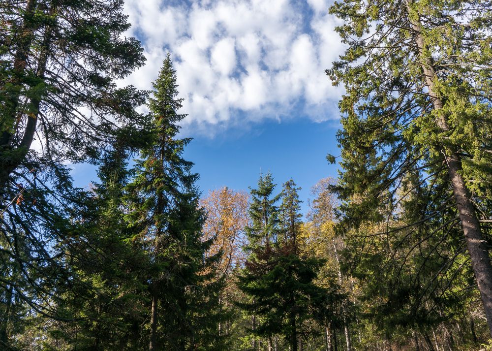 Вершины и небо