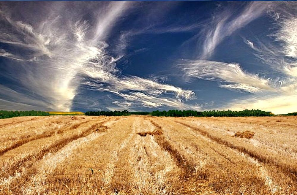 Selo na planini Jastrebac