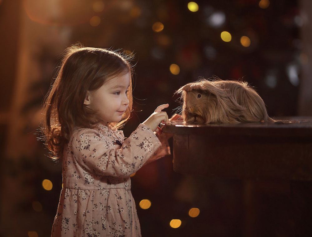 Парикмахера вызывали?