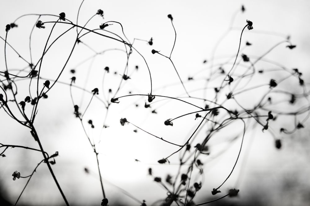 The power of your thoughts