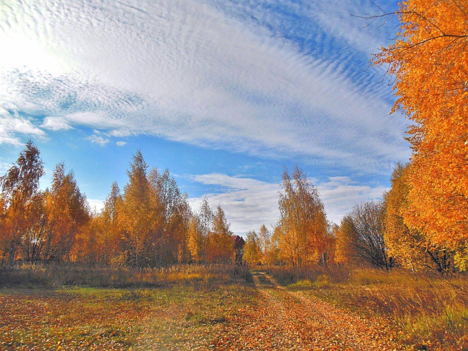 Золотая осень.