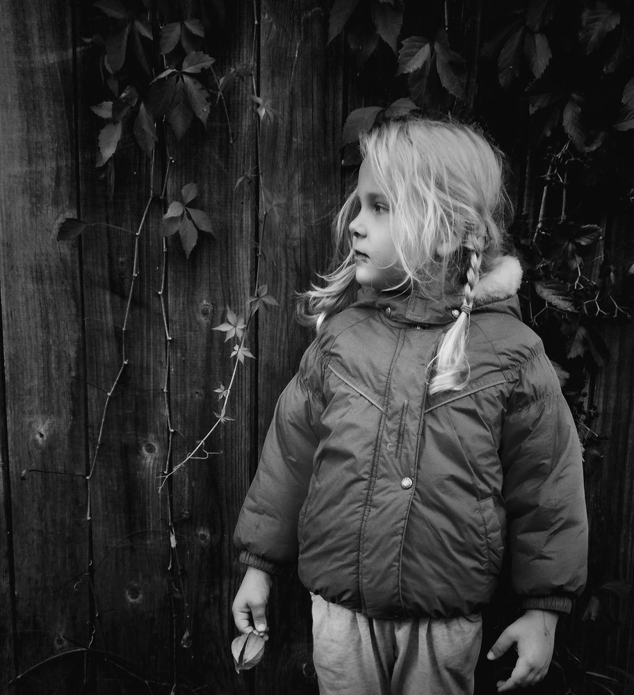 Photo #2996090