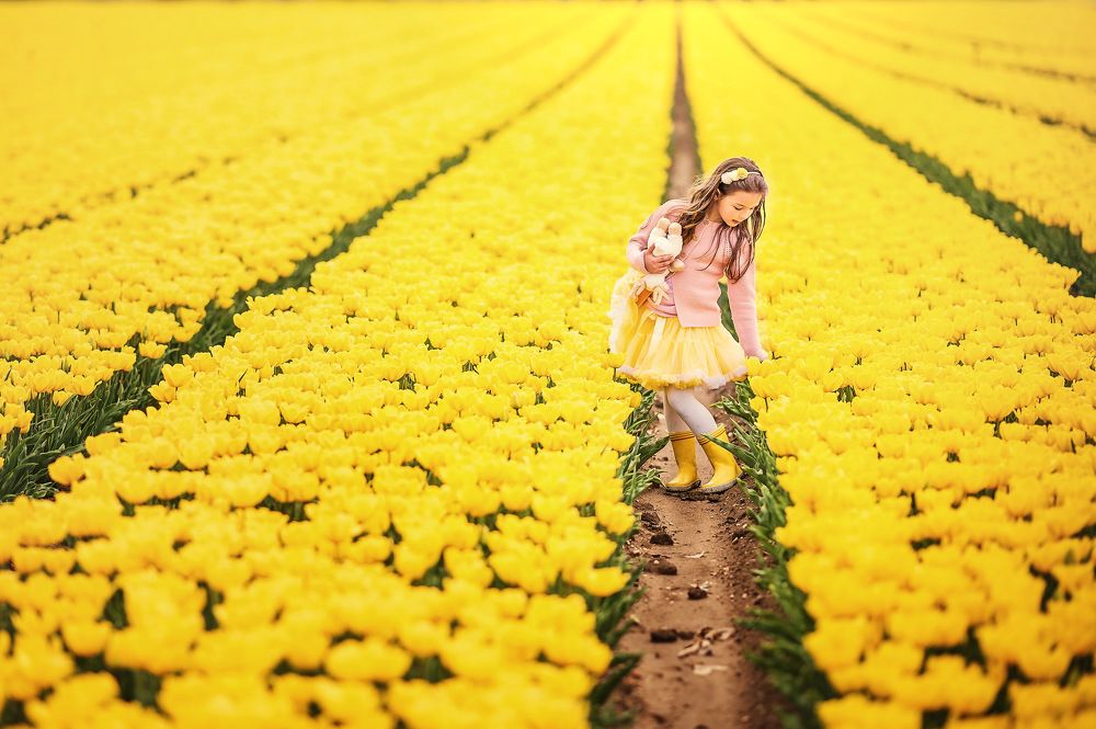 Фотография автора Natallia Sikorskaya