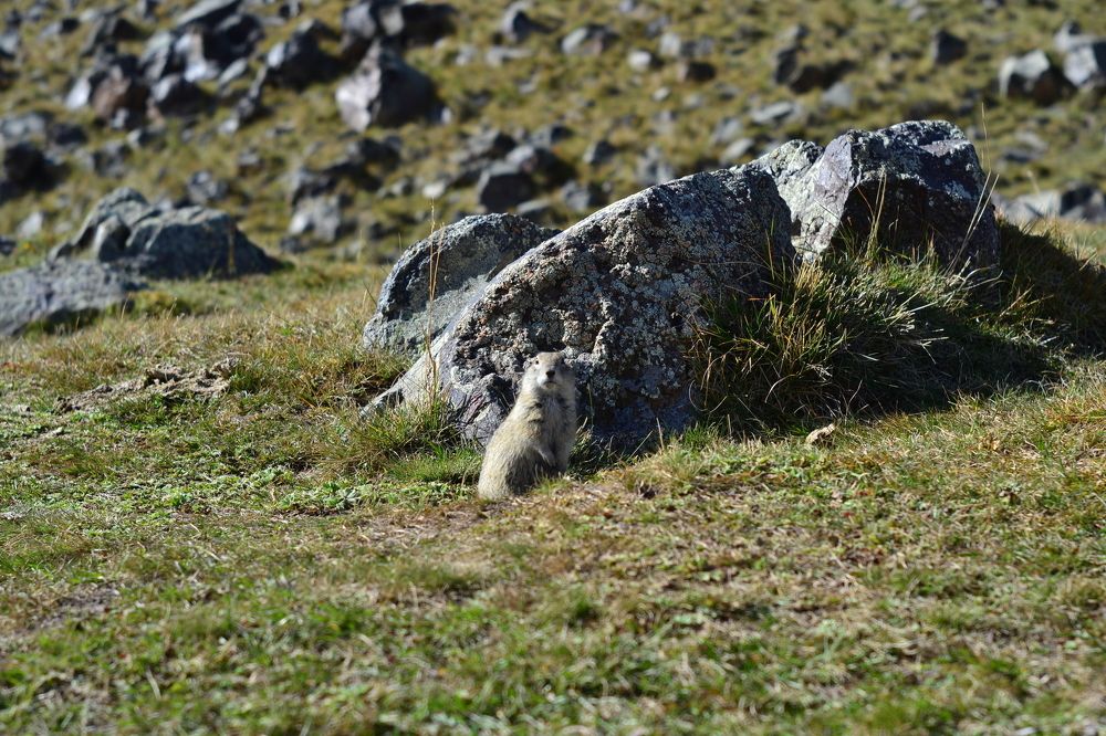 Photograph by Дмитрий Лебедев