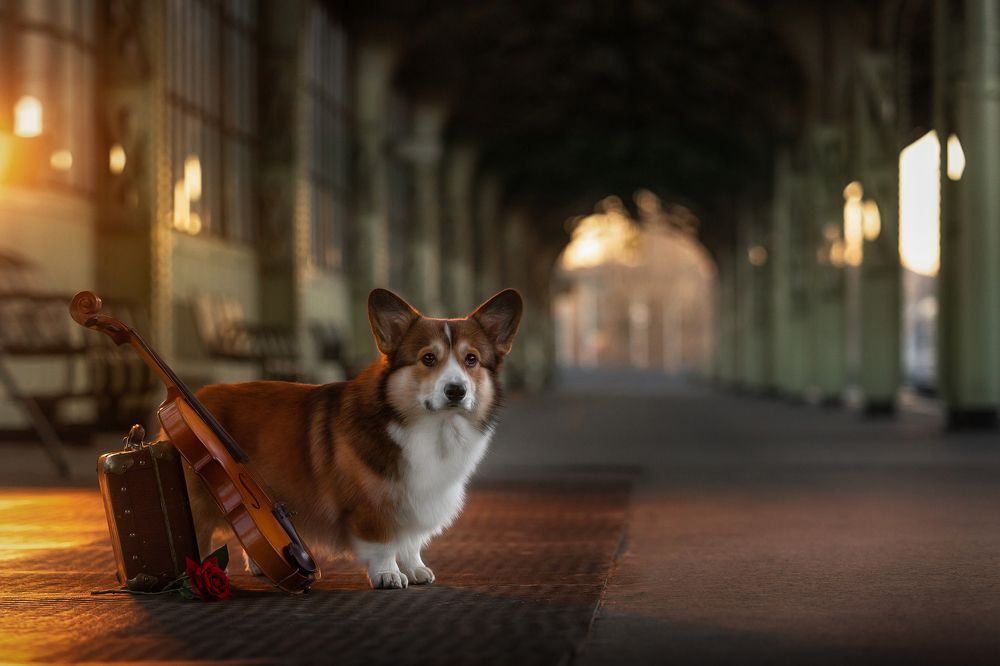 В ожидании...