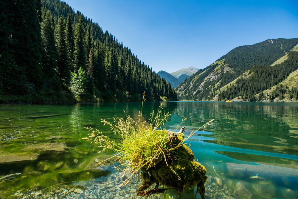 Упал, но не сломлен