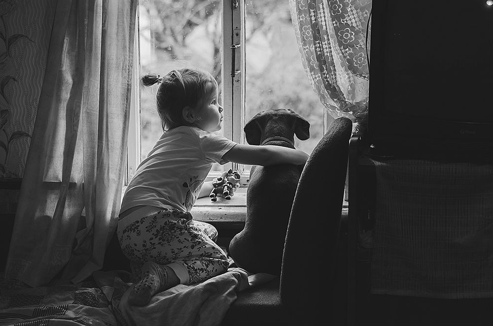 Дождливый день