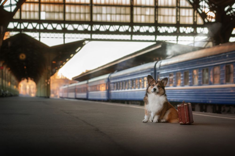 Перед встречей...