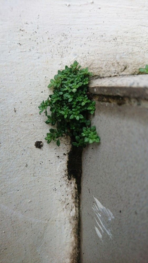 Never give up