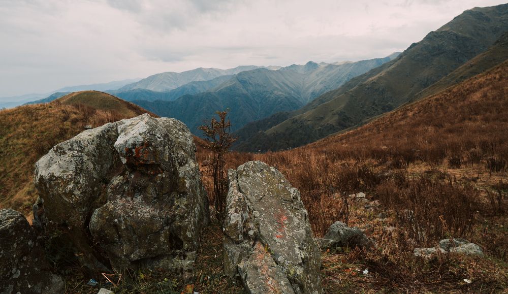 Грузия, Лагодехи.