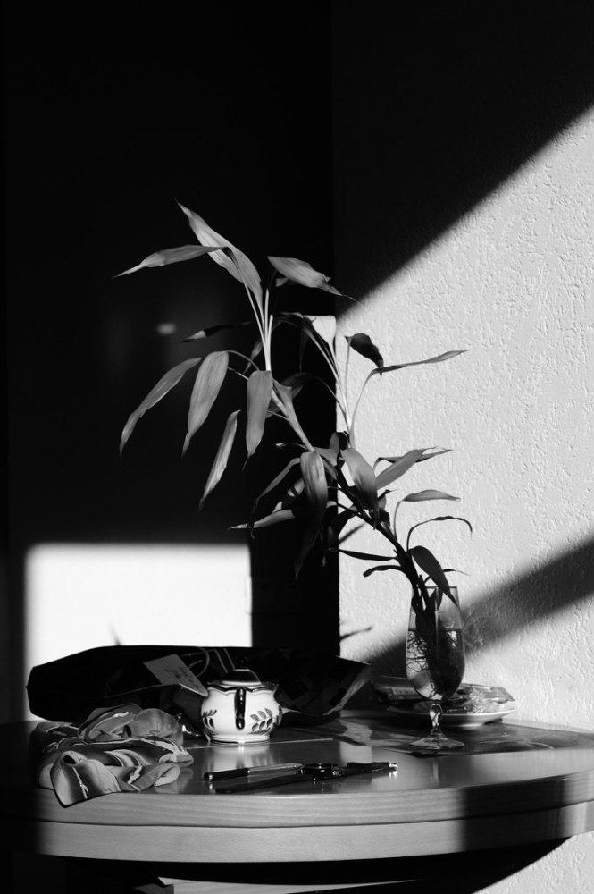 Тени из окна