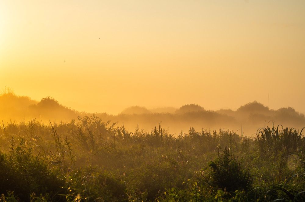 Photograph by Евгений Новицкий