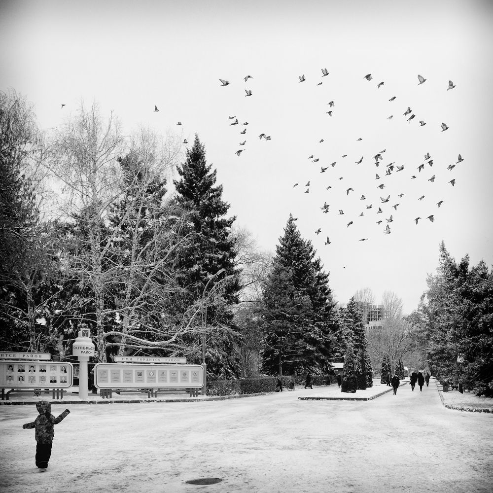 Почему люди не летают как птицы?